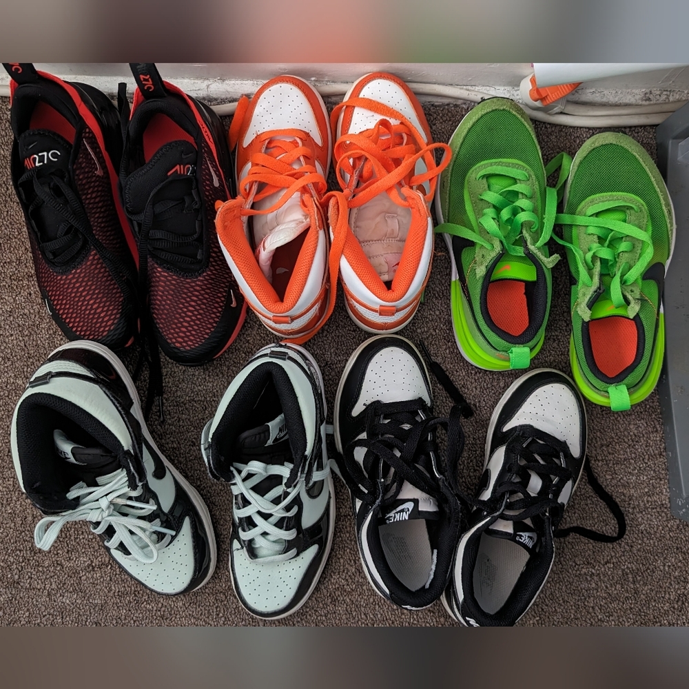 Nike (Dunks, Air Max, waffle)